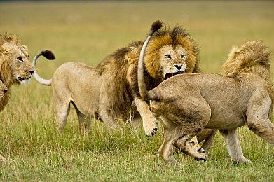 《死亡终局轮回试炼2》游戏系统简介