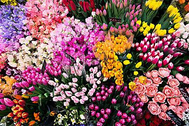 《消逝的光芒：困兽》引入枪支系统！开发者谈系列与枪械的复杂关系